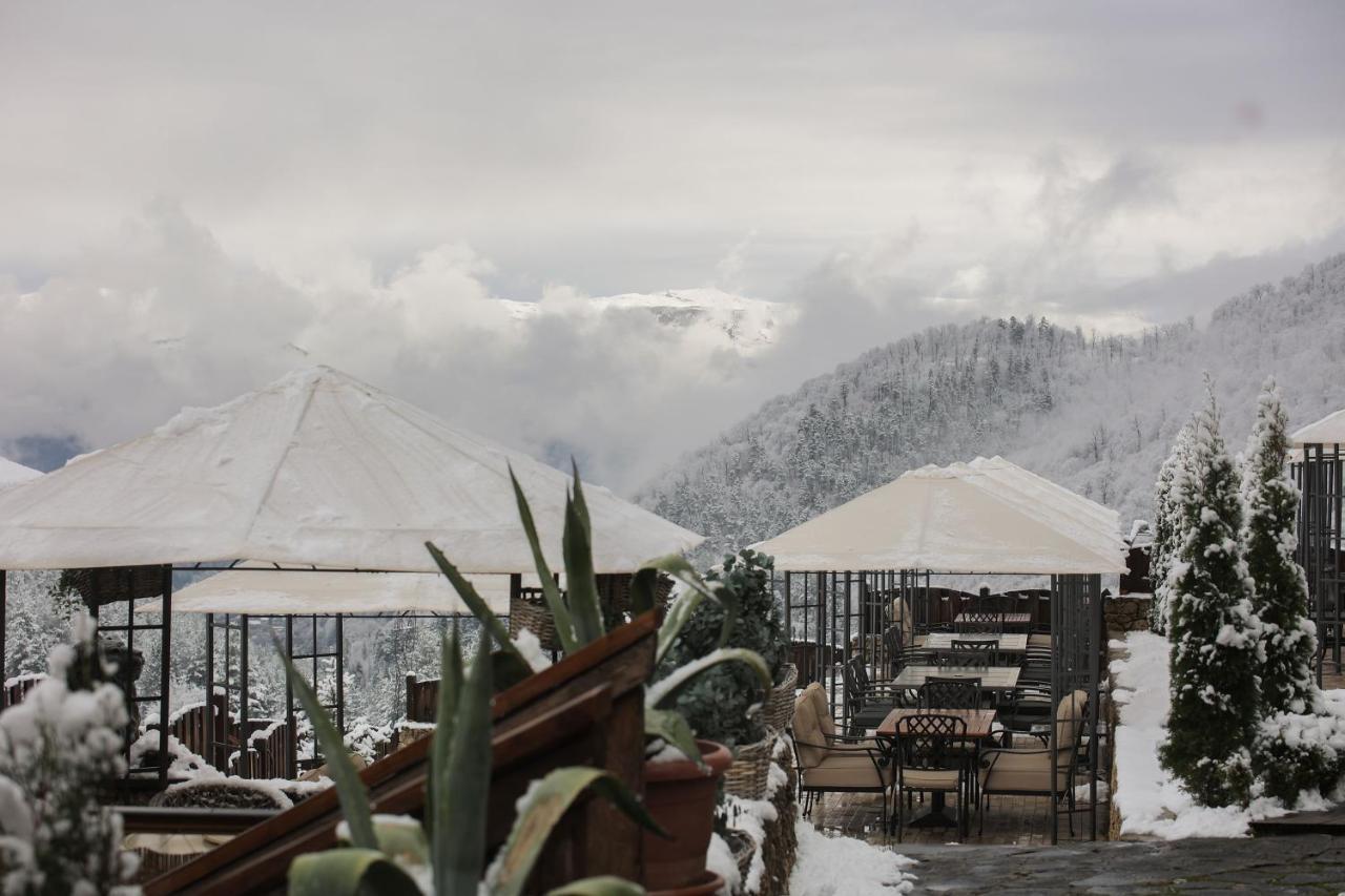 Alpine Castle Hotel ดีลีจาน ภายนอก รูปภาพ