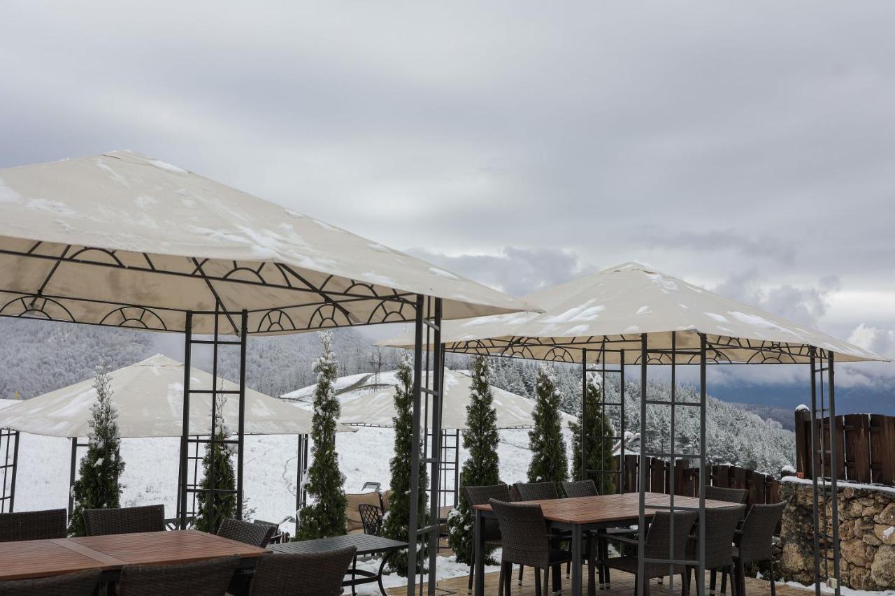 Alpine Castle Hotel ดีลีจาน ภายนอก รูปภาพ