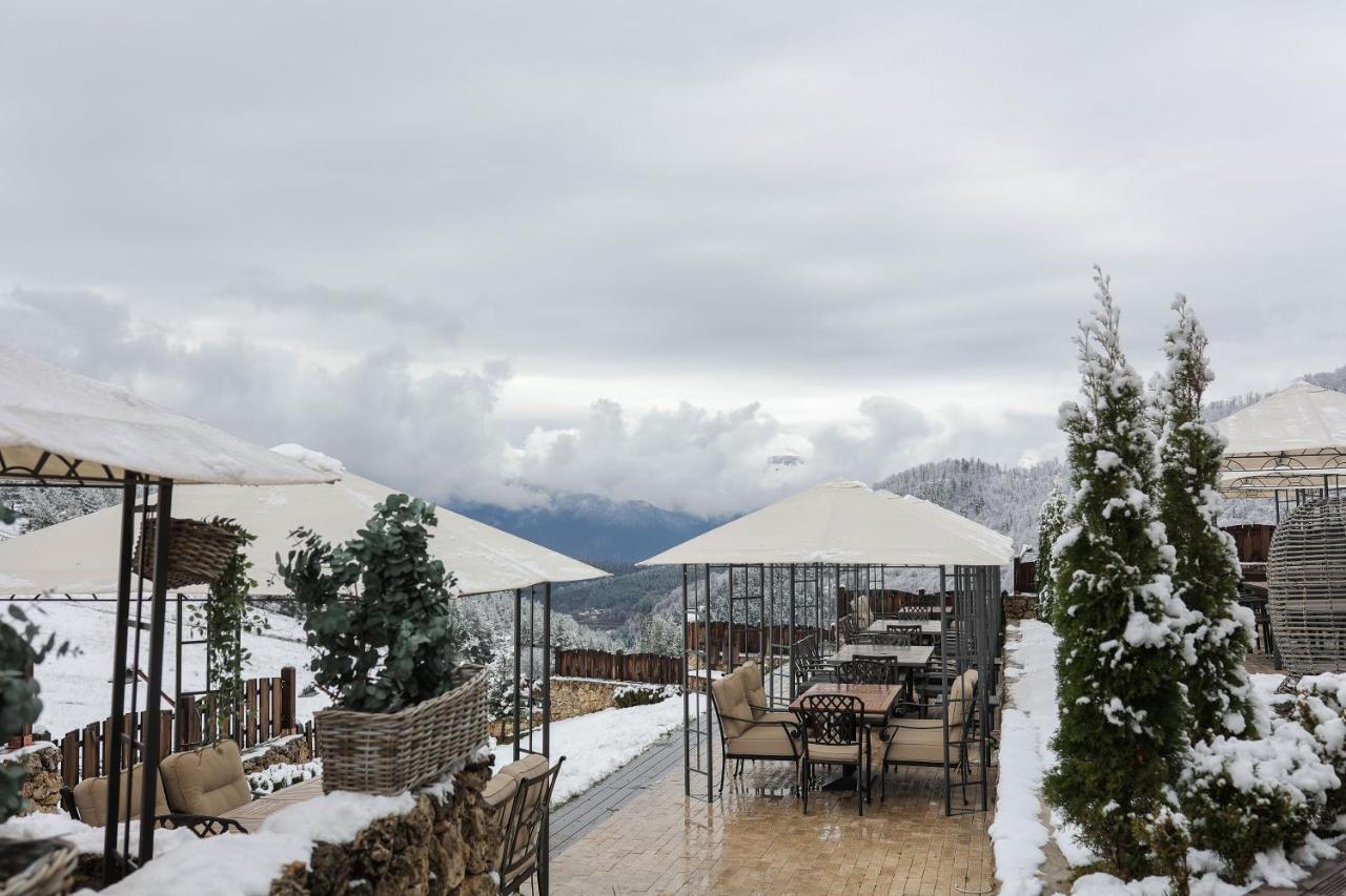 Alpine Castle Hotel ดีลีจาน ภายนอก รูปภาพ