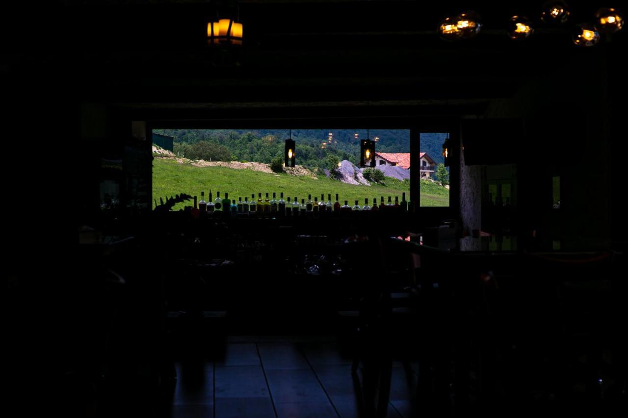 Alpine Castle Hotel ดีลีจาน ภายนอก รูปภาพ