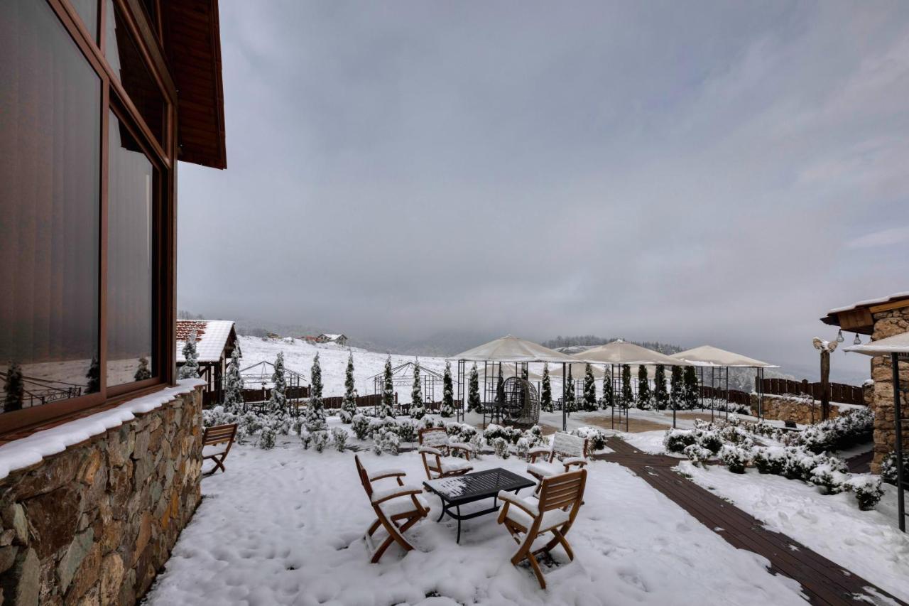 Alpine Castle Hotel ดีลีจาน ภายนอก รูปภาพ